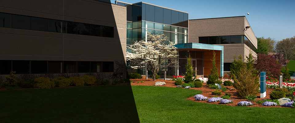 Cazenovia Landscapers