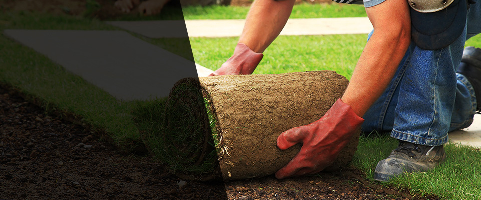 Cazenovia Landscapers